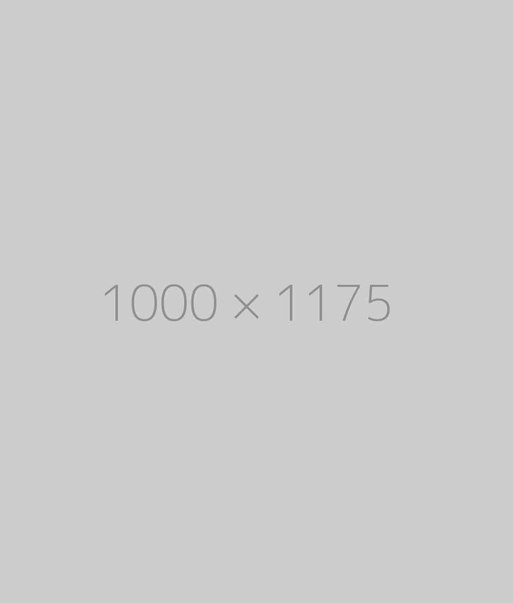 hongo 1000x1175 ph 1 TrendingWarehouse