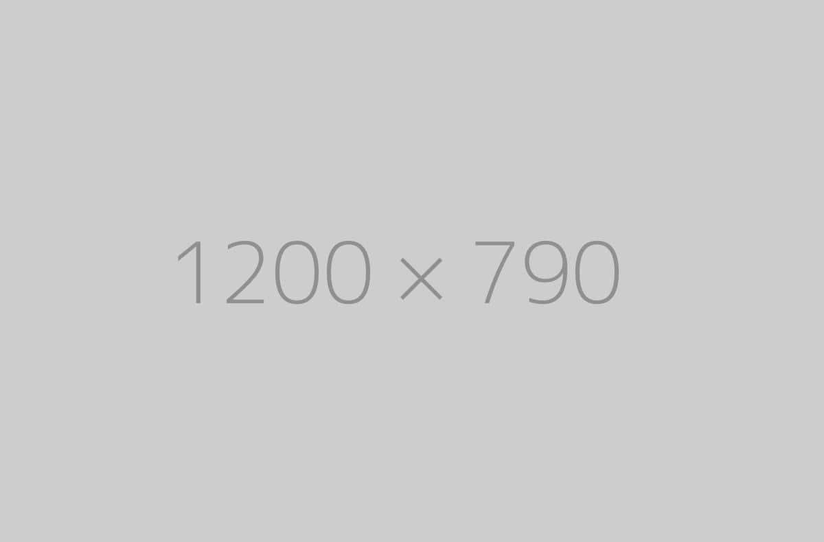 hongo 1200x790 ph 1 TrendingWarehouse