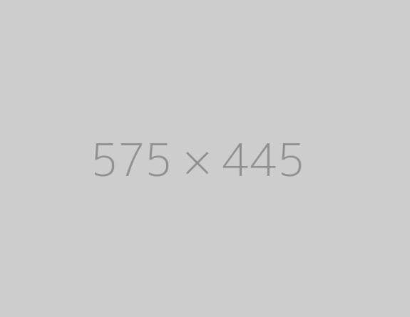 hongo 575x445 ph TrendingWarehouse