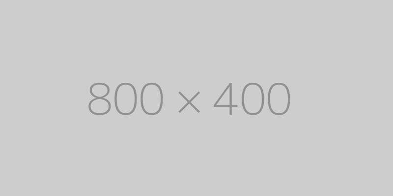 hongo 800x400 ph TrendingWarehouse