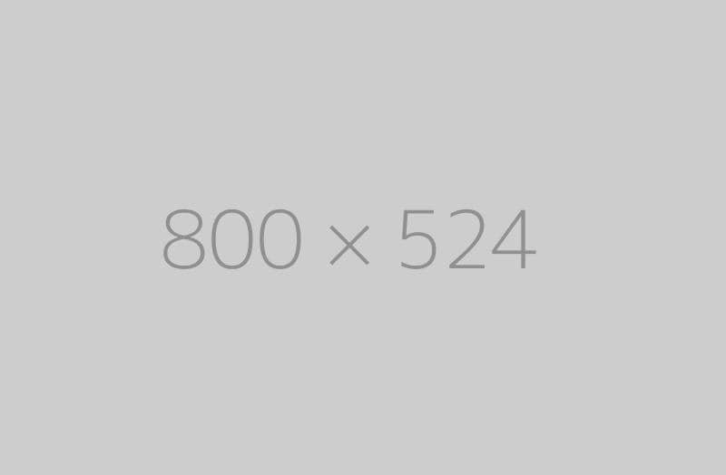 hongo 800x524 ph TrendingWarehouse