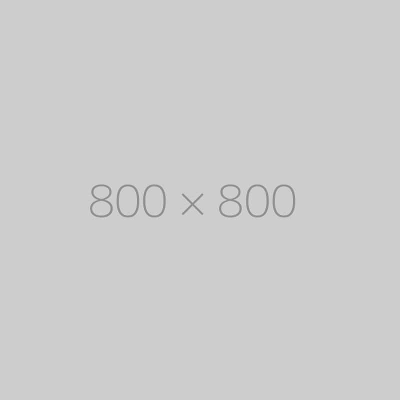 hongo 800x800 ph TrendingWarehouse