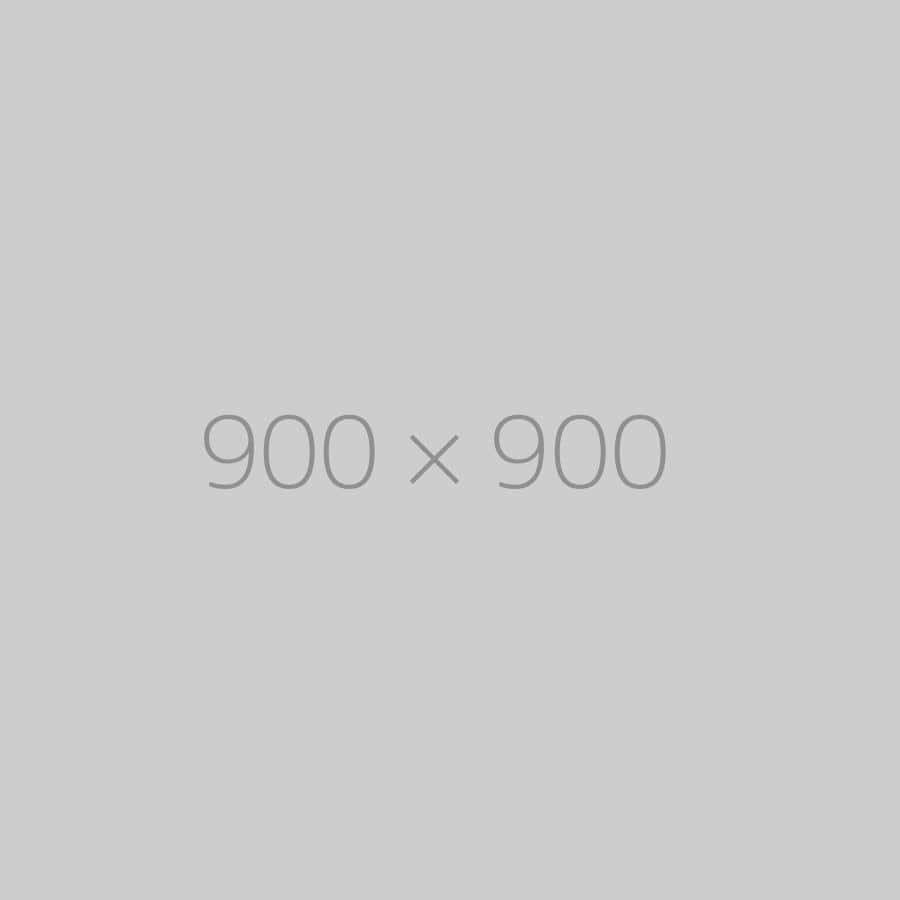 hongo 900x900 ph 1 TrendingWarehouse