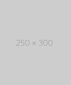 hongo 250x300 ph TrendingWarehouse