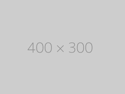 hongo 400x300 ph TrendingWarehouse