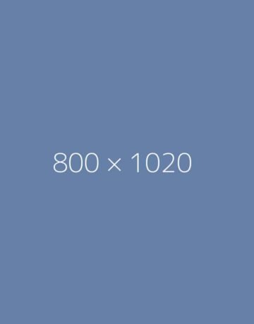 hongo 800x1020 a ph TrendingWarehouse