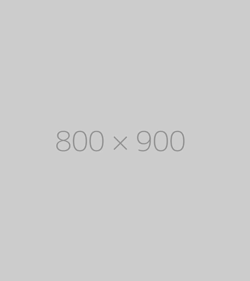 hongo 800x900 ph TrendingWarehouse