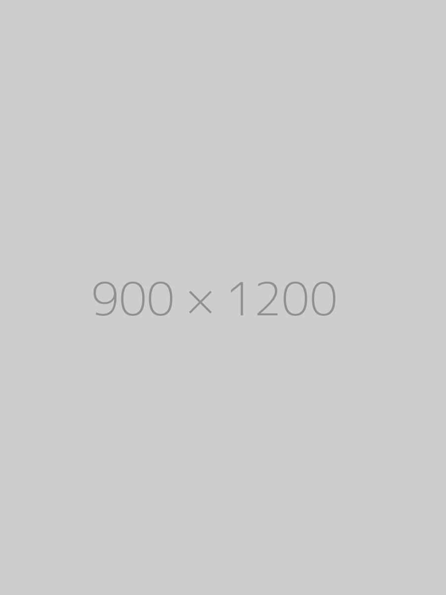 hongo 900x1200 ph 1 TrendingWarehouse