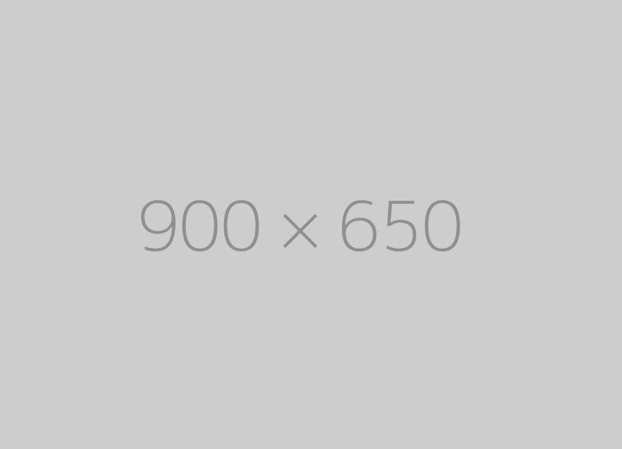 hongo 900x650 ph 1 TrendingWarehouse