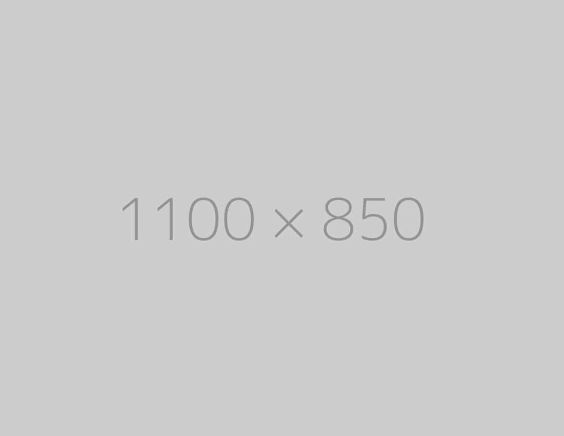hongo 1100x850 ph TrendingWarehouse