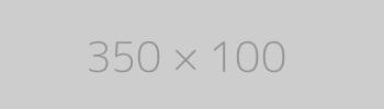 hongo 350x100 ph TrendingWarehouse