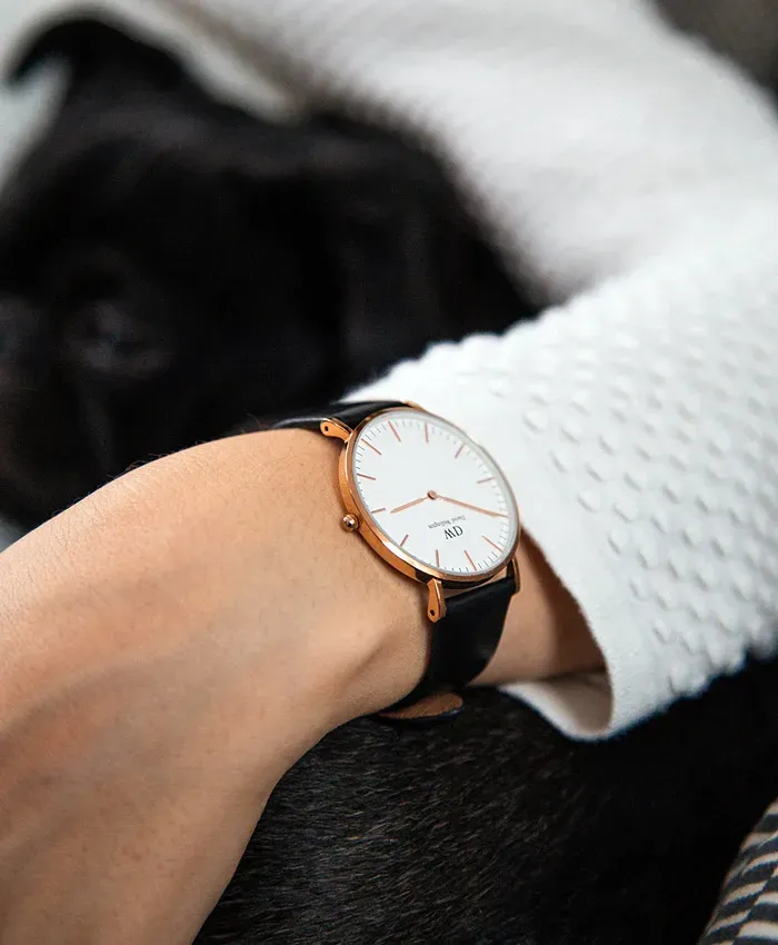 watch 15 1.jpg TrendingWarehouse